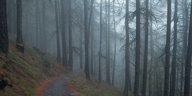 从蒸汽波梦碎到音乐生活方式重塑：埃里克佐的迭代方法论