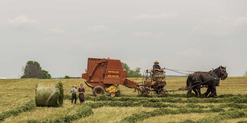 创意总监的决策工具箱：埃里克佐个人博客揭秘的五个音乐创作思维模型
