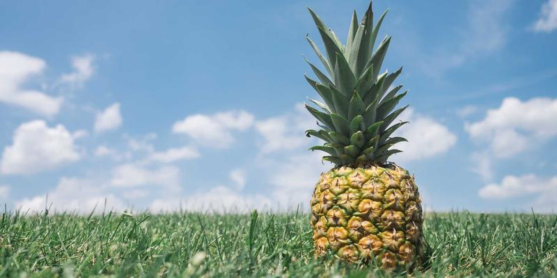 埃里克佐22：设计思维与音乐创作的跨界交响