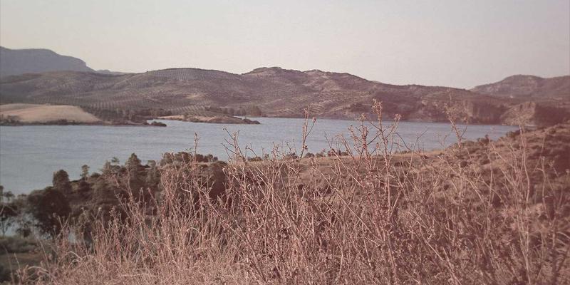 埃里克佐优势：在个人博客中融合音乐与生活方式的独特魅力