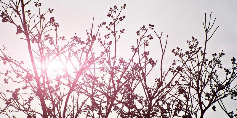 埃里克佐：在个人博客中编织蒸汽波梦境的生活方式探索者