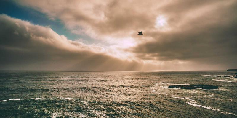 埃里克佐应用：蒸汽波美学与科技设计的未来交响曲