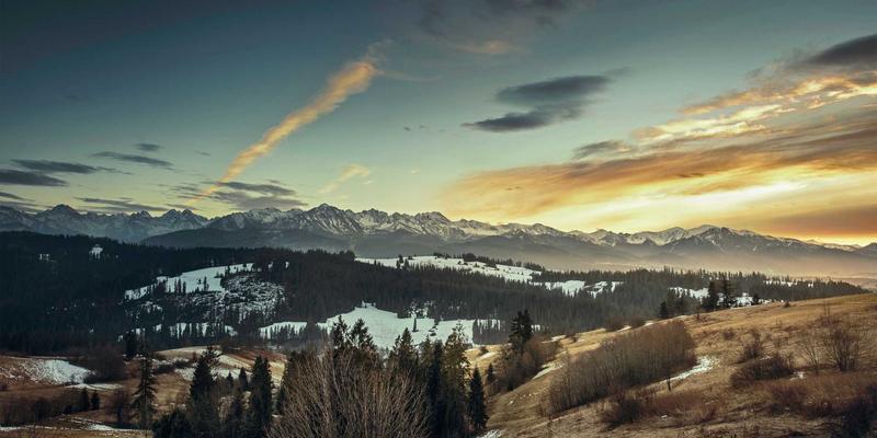 埃里克佐案例分析：蒸汽波美学与科技融合的数字文艺复兴
