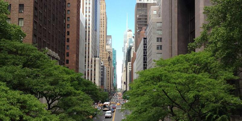 埃里克佐的晨间仪式：如何用音乐科学启动你的创意引擎