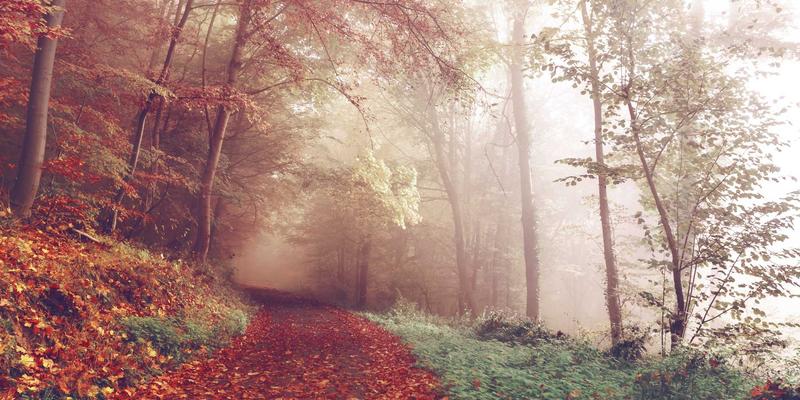 埃里克佐的晨间设计：如何用科技与设计思维重塑高效生活方式