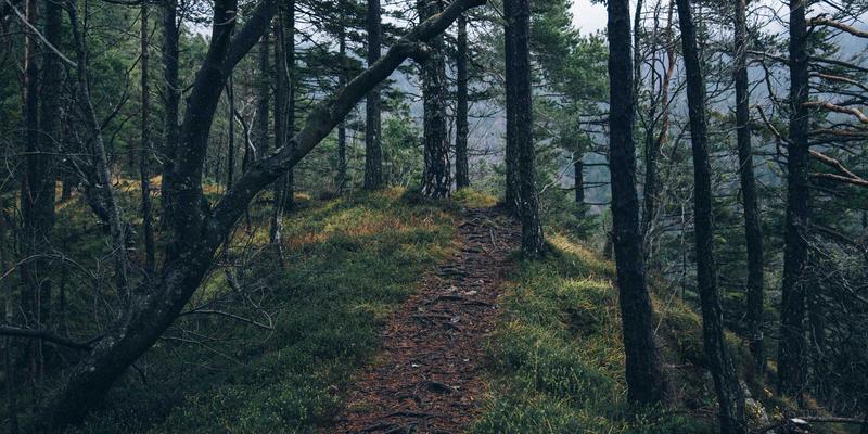 埃里克佐的笔记系统揭秘：如何用蒸汽波美学与数字工具连接创意与执行