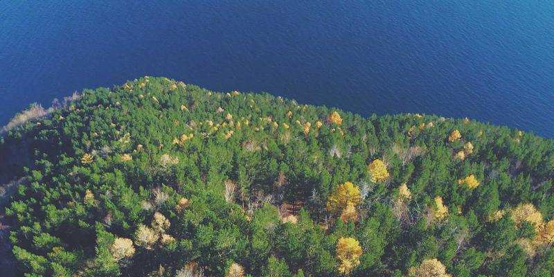 埃里克佐的视觉语言解析：蒸汽波美学如何重塑当代生活方式品牌设计