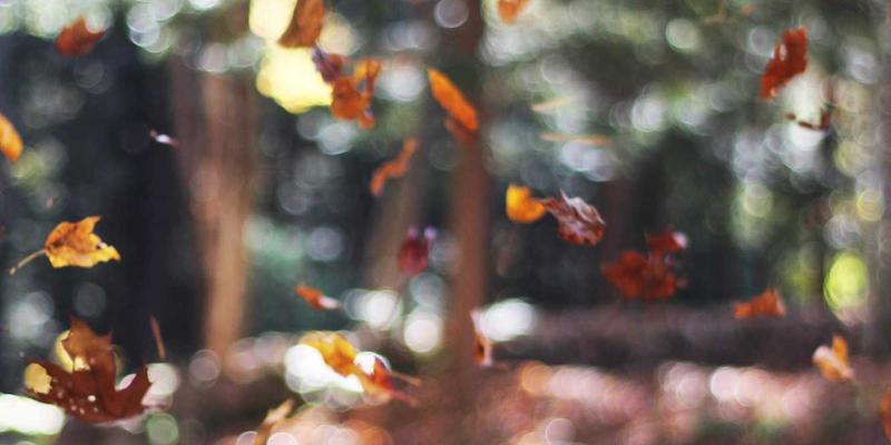 埃里克佐的跨界思维：如何从工程师转型为创意总监，重塑科技与生活方式