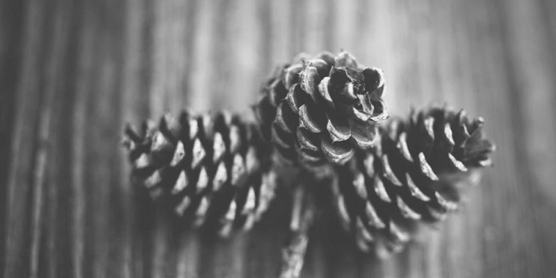 音乐、设计与生活方式的交响：从埃里克佐博客解析个人品牌构建策略